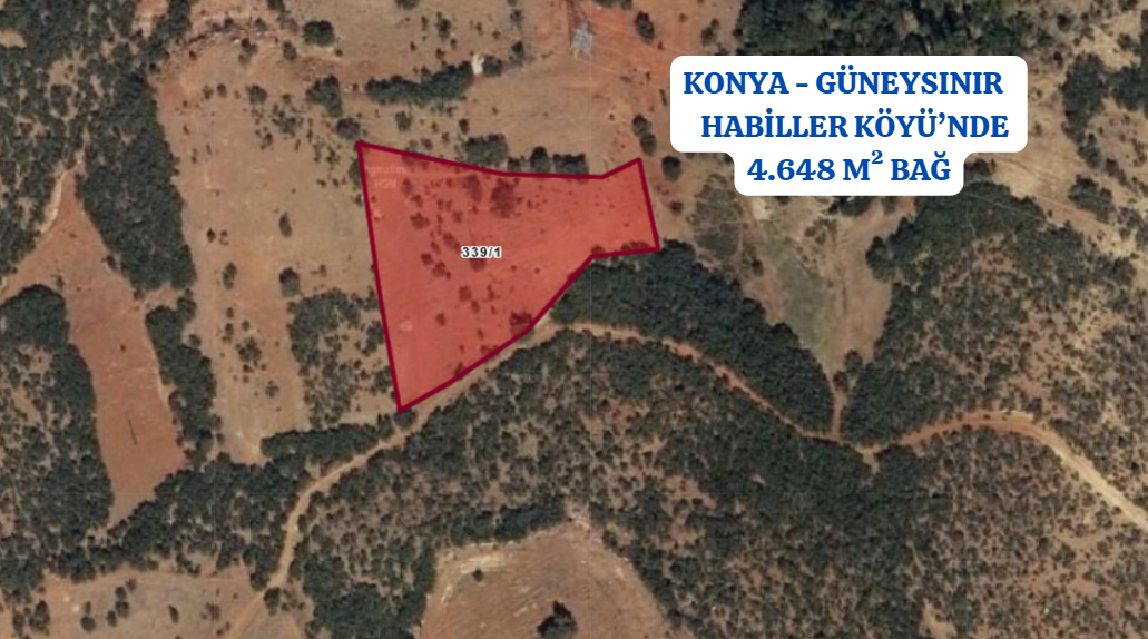 KONYA GÜNEYSINIR HABİLLER KÖYÜNDE 4.648 M² BAĞ SATILIKTIR - KONYA GÜNEYSINIR fotoğraf 3